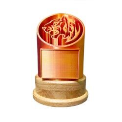 3D Printed Custom Award