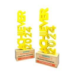 3D Printed Custom Award